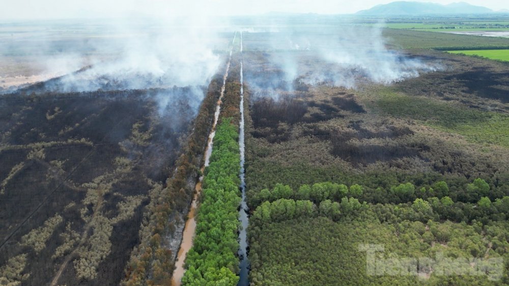 Gần 100 giờ chiến đấu với 'giặc lửa', khống chế vụ cháy rừng ở Kiên Giang