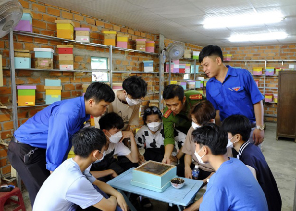 Ninh Thuận tăng cường hỗ trợ thanh niên khởi nghiệp, đổi mới sáng tạo