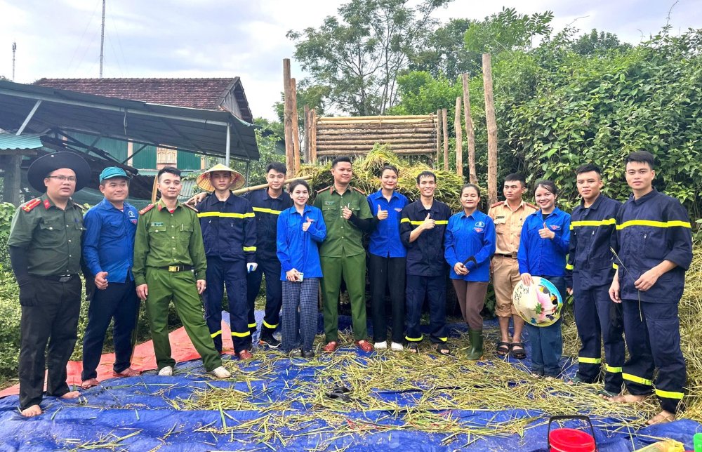 Thanh niên cùng chiến sĩ công an gặt lúa chạy bão giúp người dân