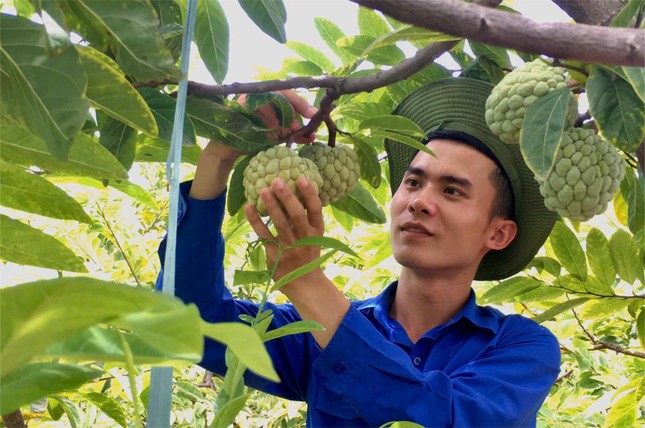 'Dân công nghệ' bỏ phố về quê khởi nghiệp với đặc sản Hải Phòng