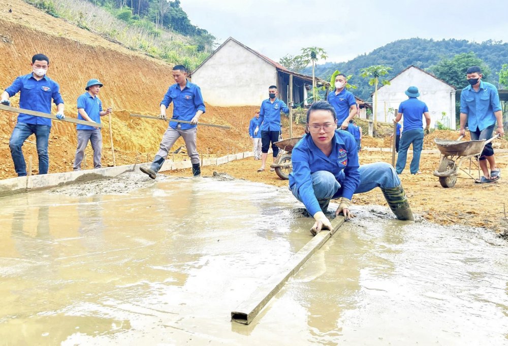 Mô hình sinh kế trồng cây lát hoa cho người dân vùng biên xứ Nghệ