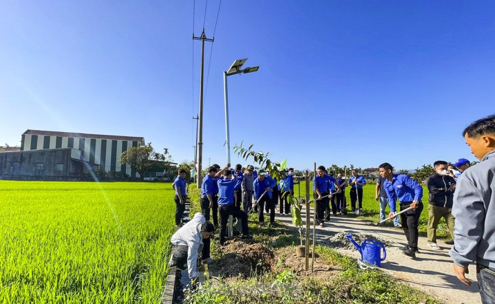 Tuổi trẻ Bình Định, Quảng Ngãi ra quân Tháng Thanh niên