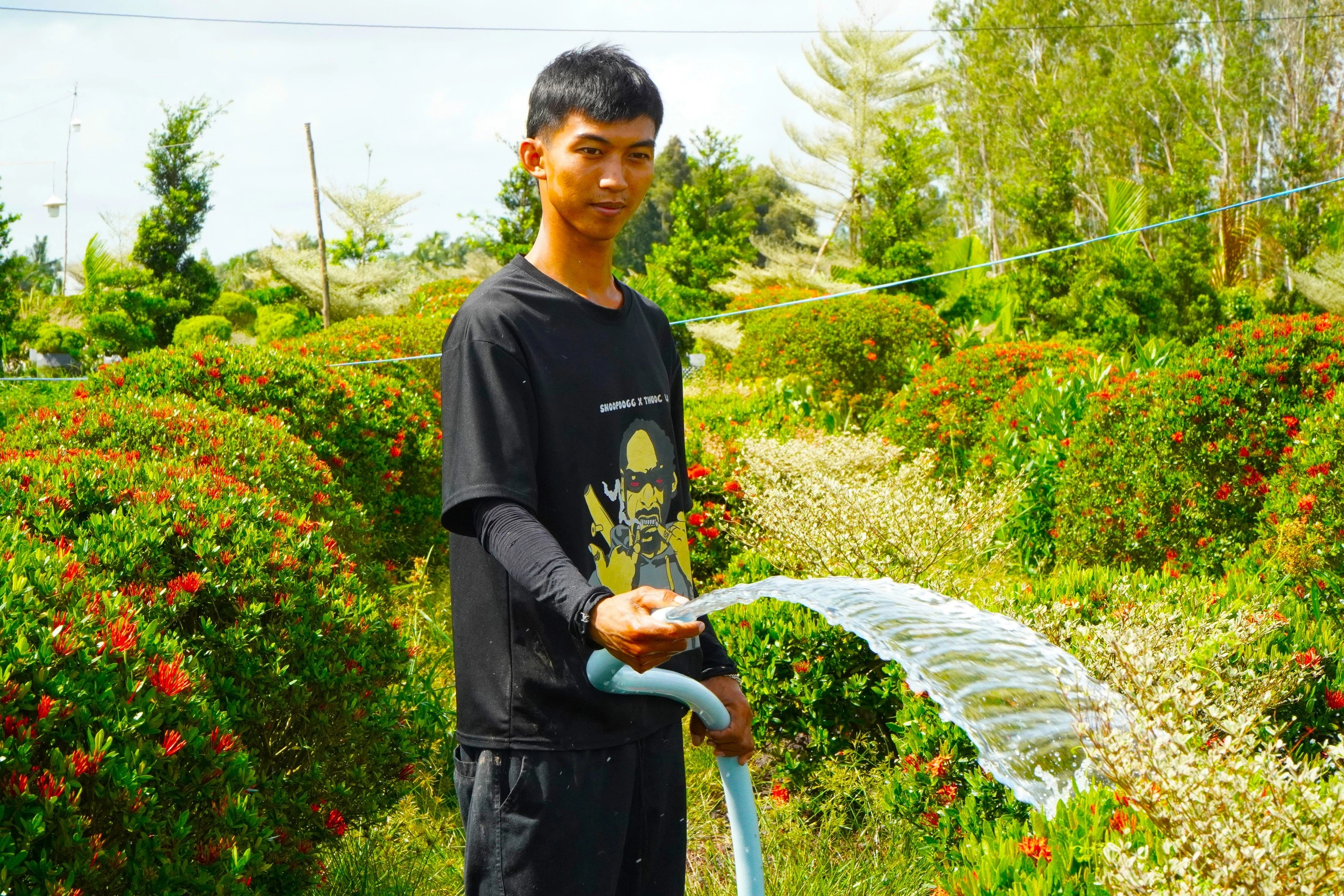 Trồng bông kiểng ‘quốc dân’ trên đất phèn mặn, thu nhập trăm triệu đồng