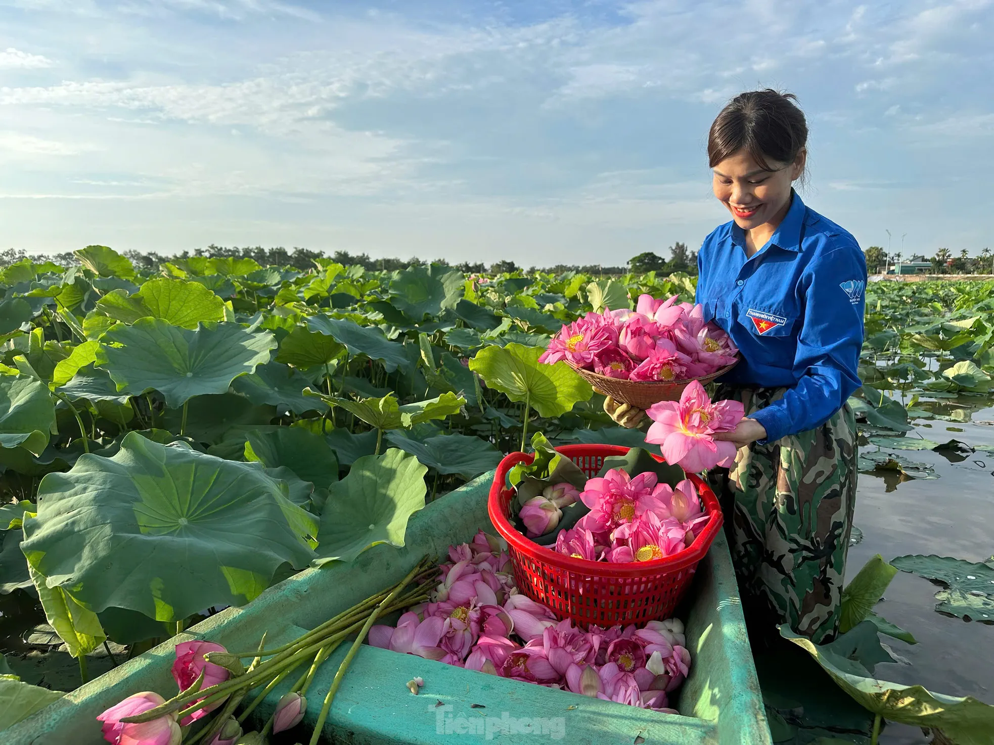 'Biến' vùng đất hoang hóa thành đầm sen thu tiền triệu mỗi ngày