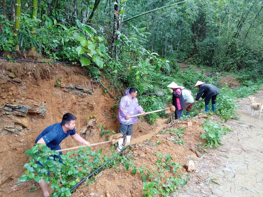 Tuổi trẻ Thanh Hóa hỗ trợ người dân khắc phục sau bão