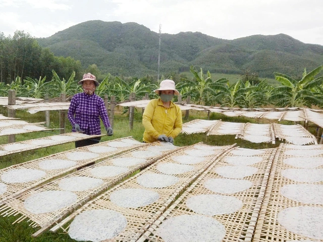 Lãi 200 triệu đồng mỗi năm nhờ nghề làm bánh tráng