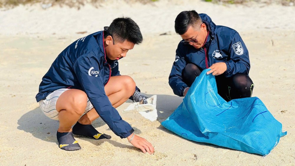 Những bạn trẻ về Hòn Cau 'đỡ đẻ' cho rùa