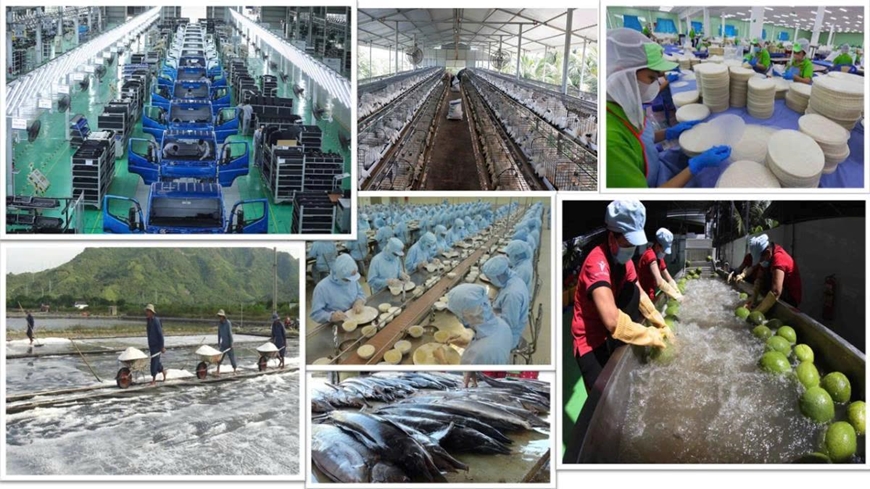 Kinh tế tư nhân là một động lực quan trọng nhất - Quan điểm đúng đắn, sáng tạo của Đảng ta