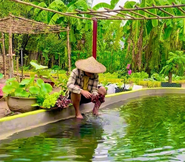Bỏ phố về quê sau biến cố, chàng trai tạo dựng khu vườn trồng rau nuôi cá