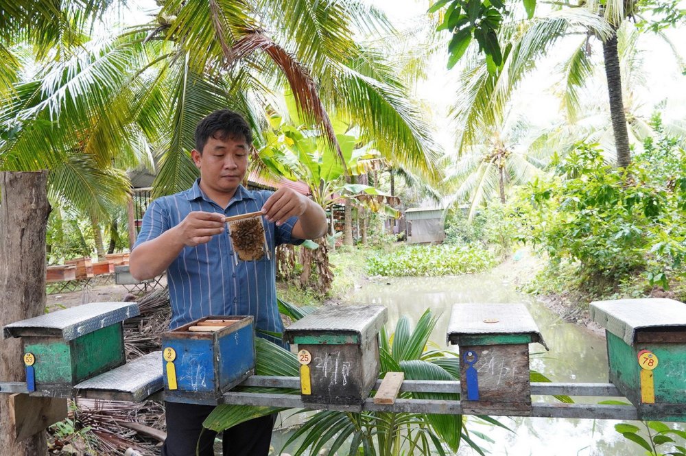 Bỏ nghề IT về quê nuôi ong, chàng trai Cần Thơ kiếm tiền tỷ mỗi năm