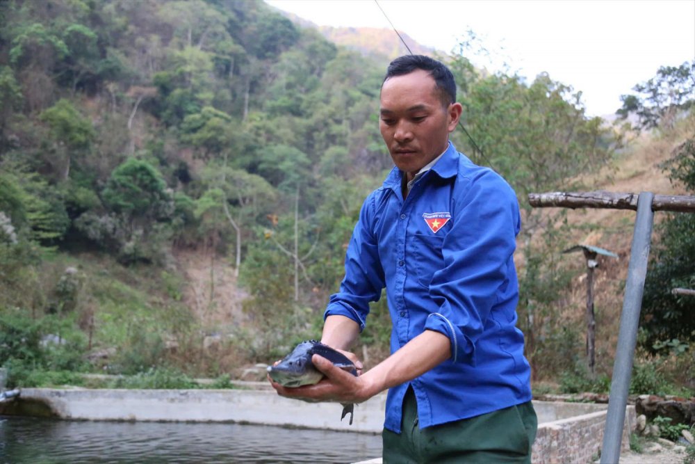 Chàng trai người Mông làm giàu nhờ nuôi cá nước lạnh