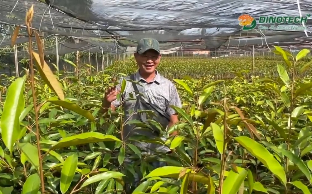 Dinotech: Giấc mơ xanh của người trẻ Việt