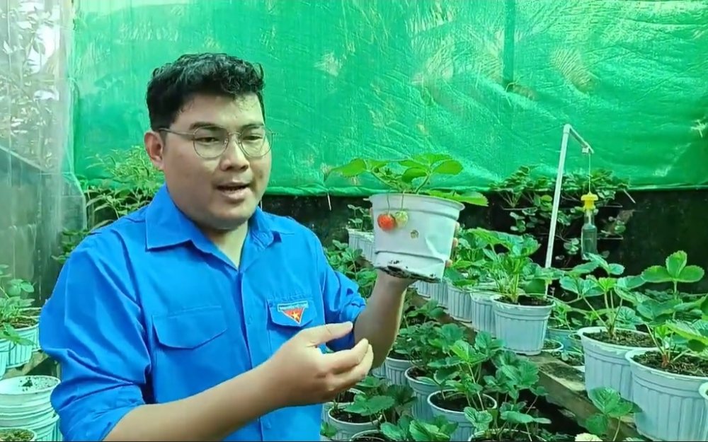 Vượt khó để tạo giá trị mới