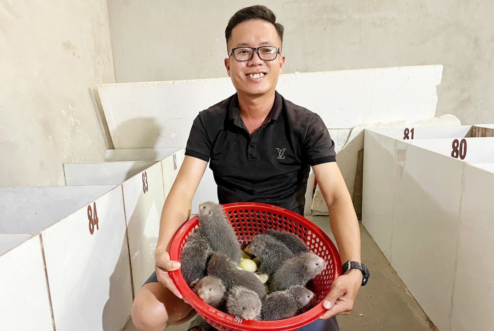 Kỹ sư cơ khí bỏ việc lương cao, về quê nuôi 'con đặc sản' thu bộn tiền