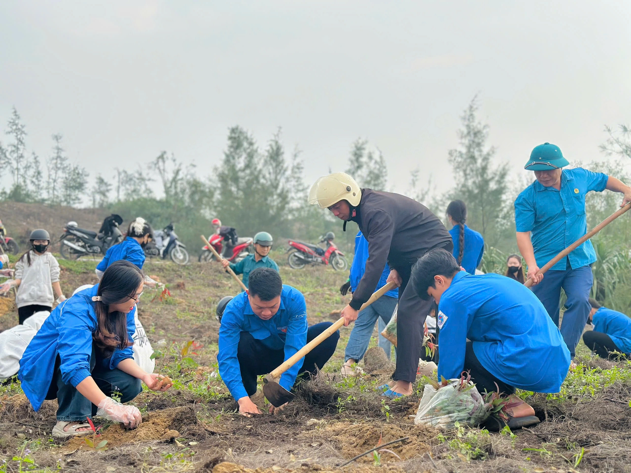 Thanh niên Hà Tĩnh phủ xanh lại rừng phòng hộ sau bão lũ