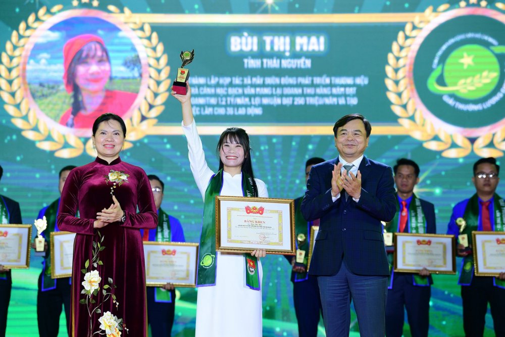 Cô gái lan tỏa hương trà Việt từ sườn Đông Tam Đảo