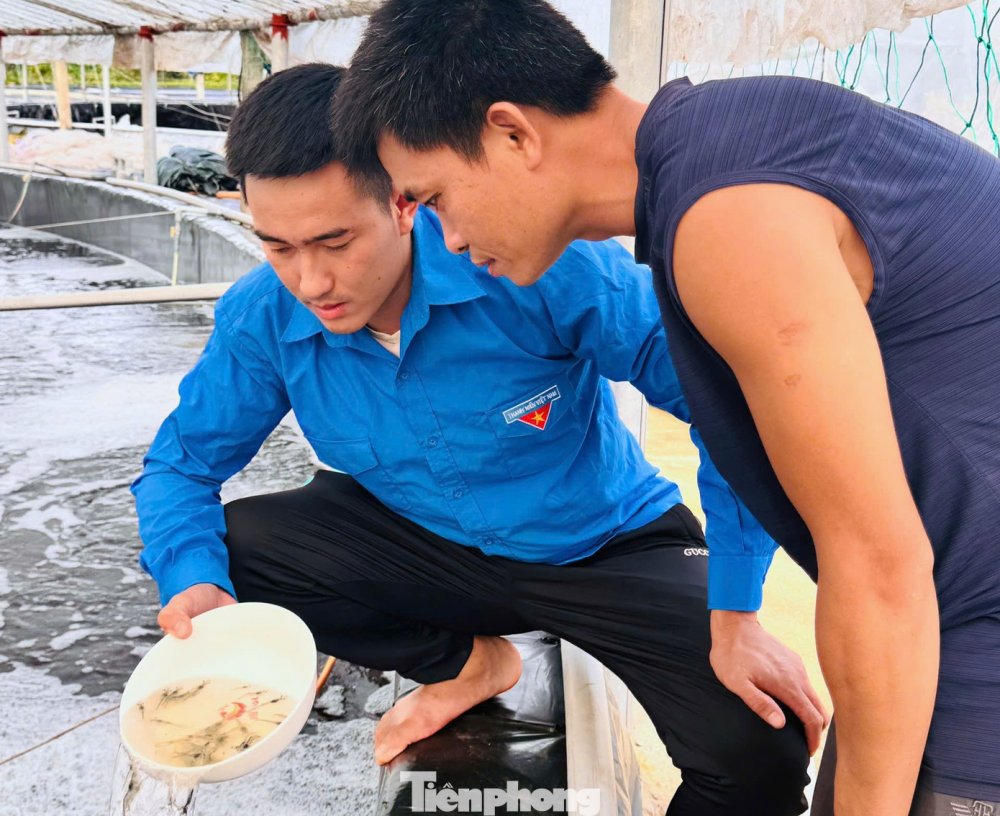 Khởi nghiệp xanh từ ao tôm tuần hoàn