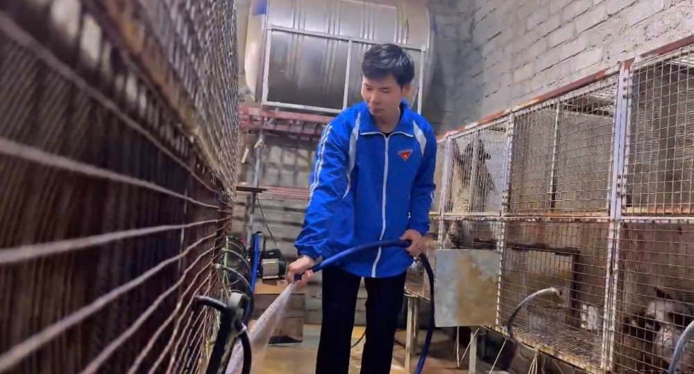 Thanh niên Hà Tĩnh khởi nghiệp với loài ít bệnh dễ nuôi, thu nửa tỉ đồng/năm