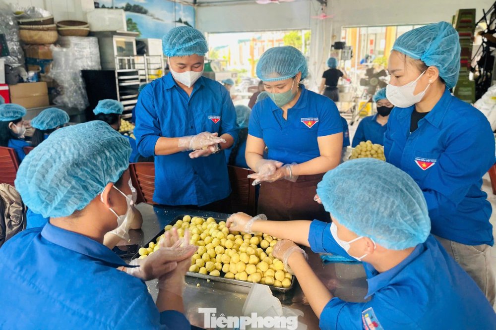 Thanh niên làm bánh, bán hàng gây quỹ 'Đông ấm - Xuân yêu thương'