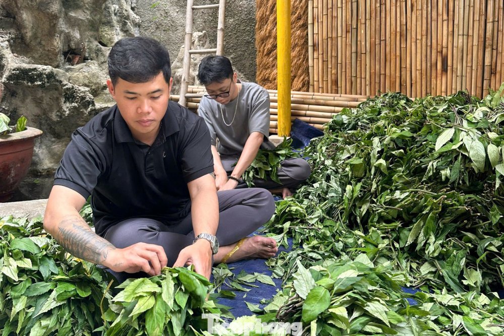 Nhóm bạn trẻ vượt núi chở nông sản vùng cao về phố, khách liên tục 'chốt đơn'