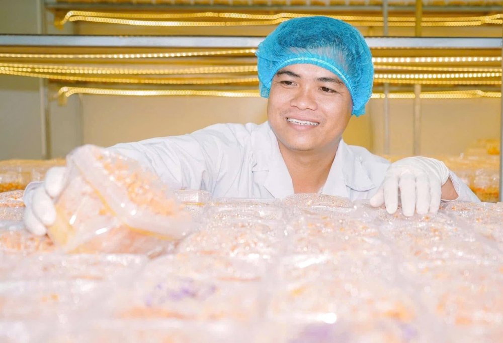 Thạc sĩ 9x nuôi trồng nấm đông trùng hạ thảo, mang về doanh thu tiền tỉ