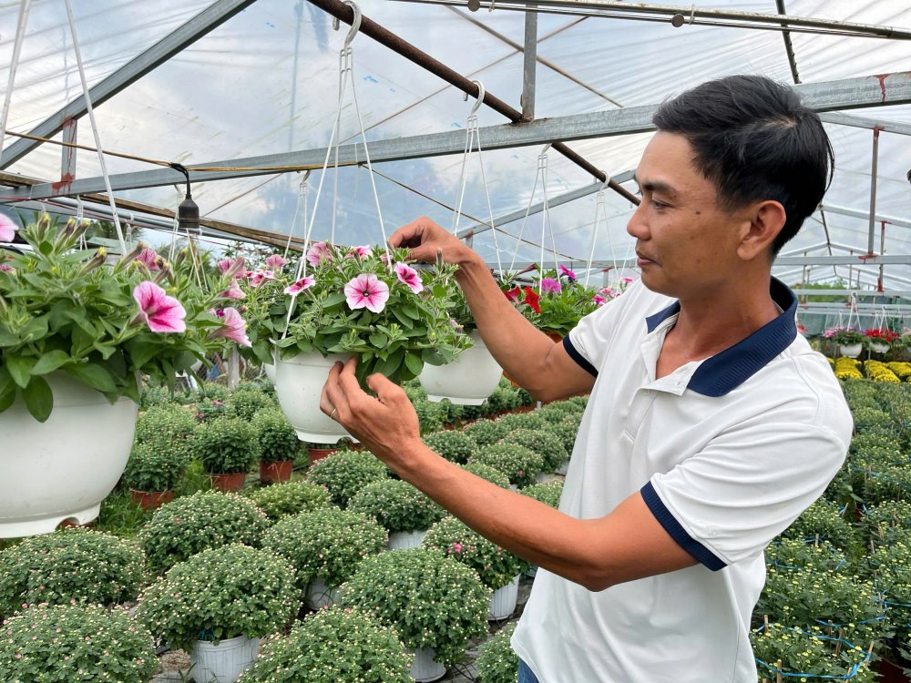 Bỏ phố về quê, chàng kỹ sư ‘đánh thức’ đất đồi bằng những mùa hoa tiền triệu