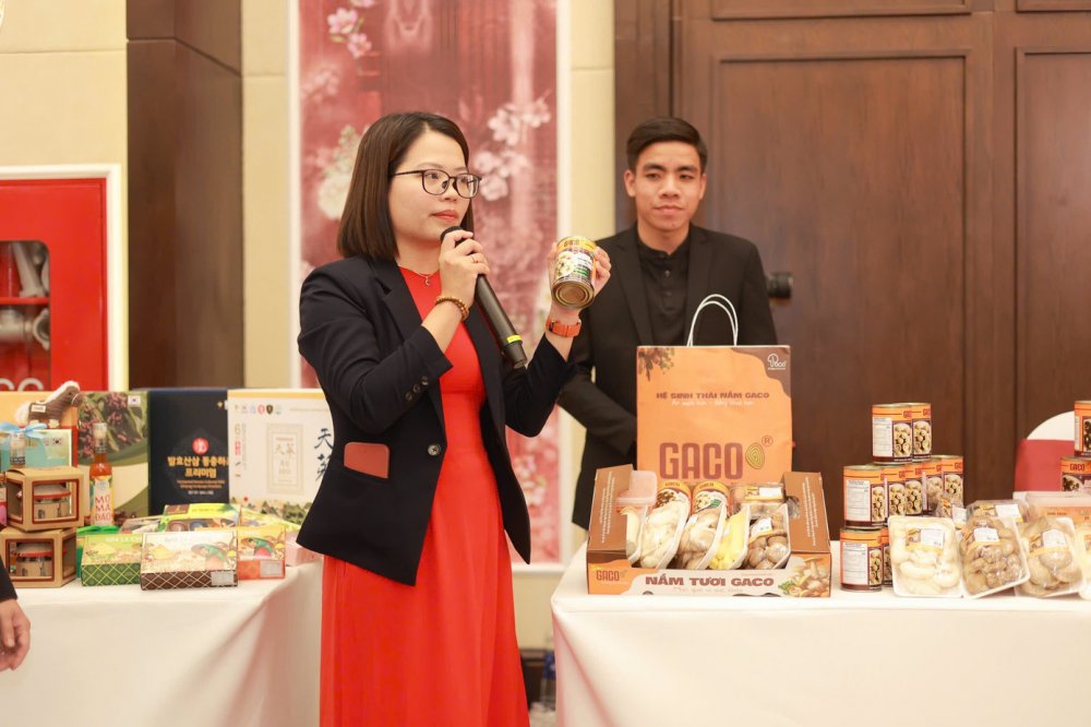 Khởi nghiệp từ đồng đất quê hương - Bài 1: Đưa nấm rơm chinh phục thị trường Mỹ