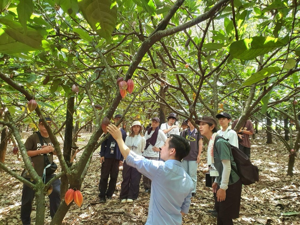 Khởi nghiệp từ đồng đất quê hương - Bài 2: Ngược dòng xây dựng cà phê sạch