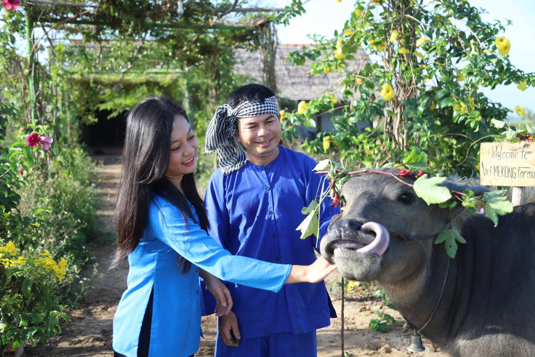Cô gái miền Tây làm nông trại nghỉ dưỡng thu hút từ 200 - 300 lượt khách/tháng