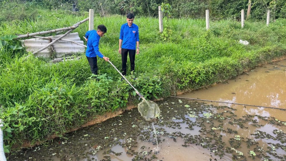 Những người trẻ quyết làm giàu trên vùng đất khó