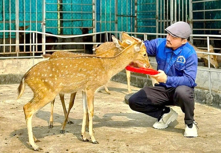 Ước mơ nâng tầm sản phẩm nhung hươu