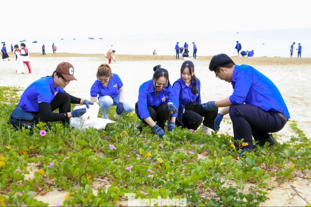 Bạn trẻ Đà Nẵng hào hứng thu gom rác dọc bãi biển, đổi rác lấy cây xanh