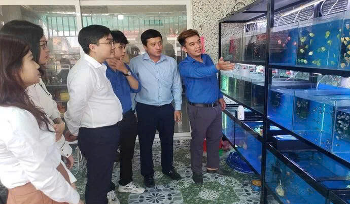 Từ nhân viên y tế đến “ông chủ trại cá Guppy” 