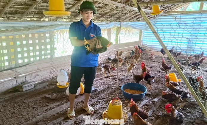 Khát vọng làm giàu từ nông nghiệp Bí thư Chi đoàn bản vùng cao