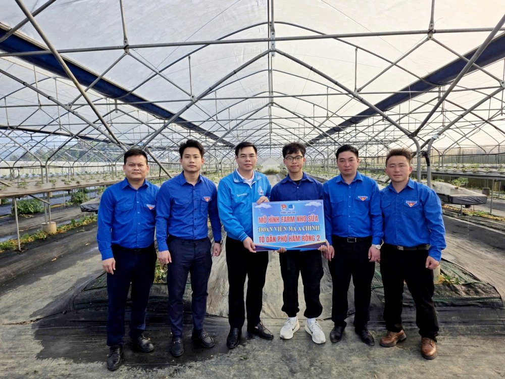 Thanh niên vùng cao tiên phong khởi nghiệp với mô hình nho sữa xanh
