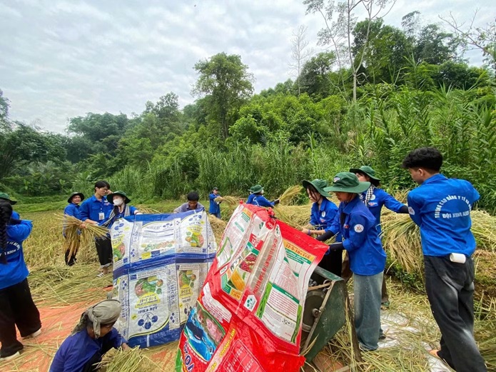 Khi sinh viên trường Y làm thợ xây