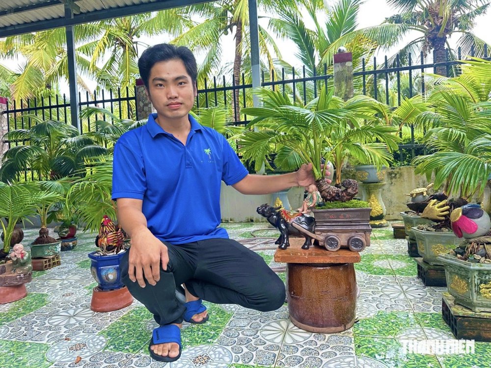 Bonsai dừa khô giá 2 triệu đồng của chàng trai miền Tây có gì đặc biệt?