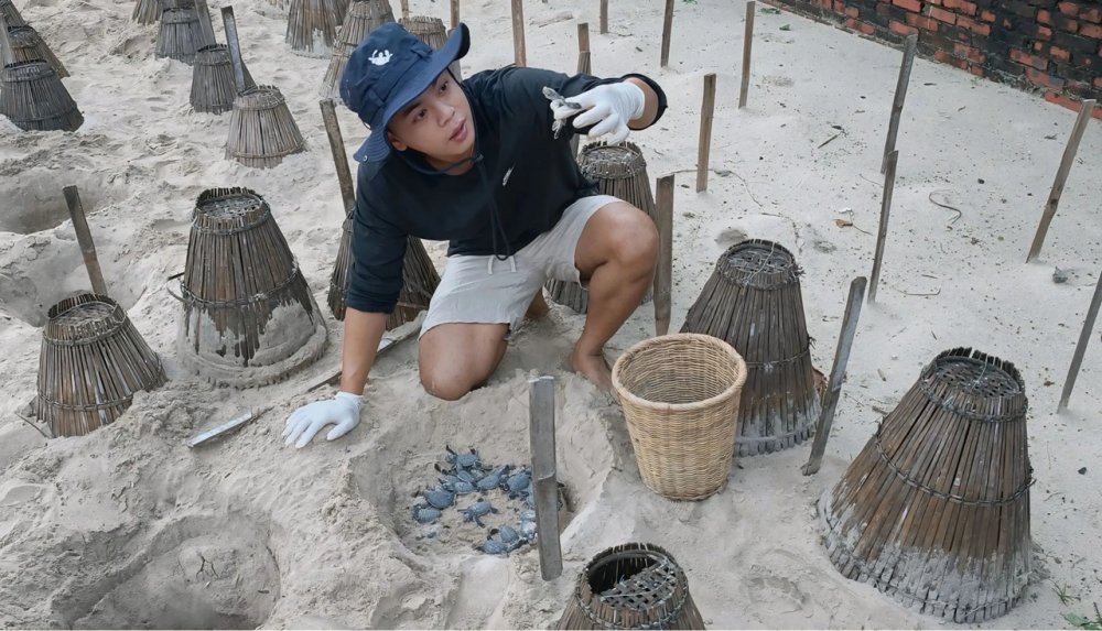 Chàng trai bảo tồn rùa biển bằng những đêm thức trắng