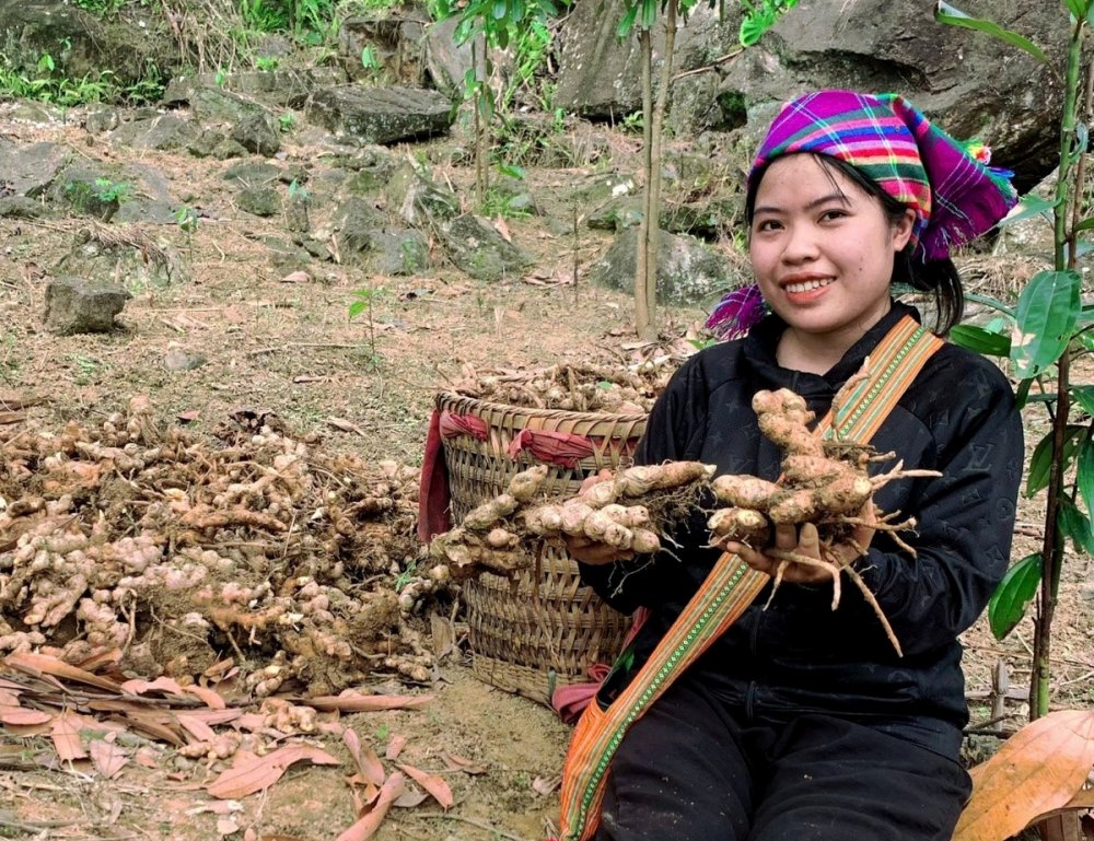 Khởi nghiệp từ thảo dược bản địa, lan tỏa giá trị quê hương