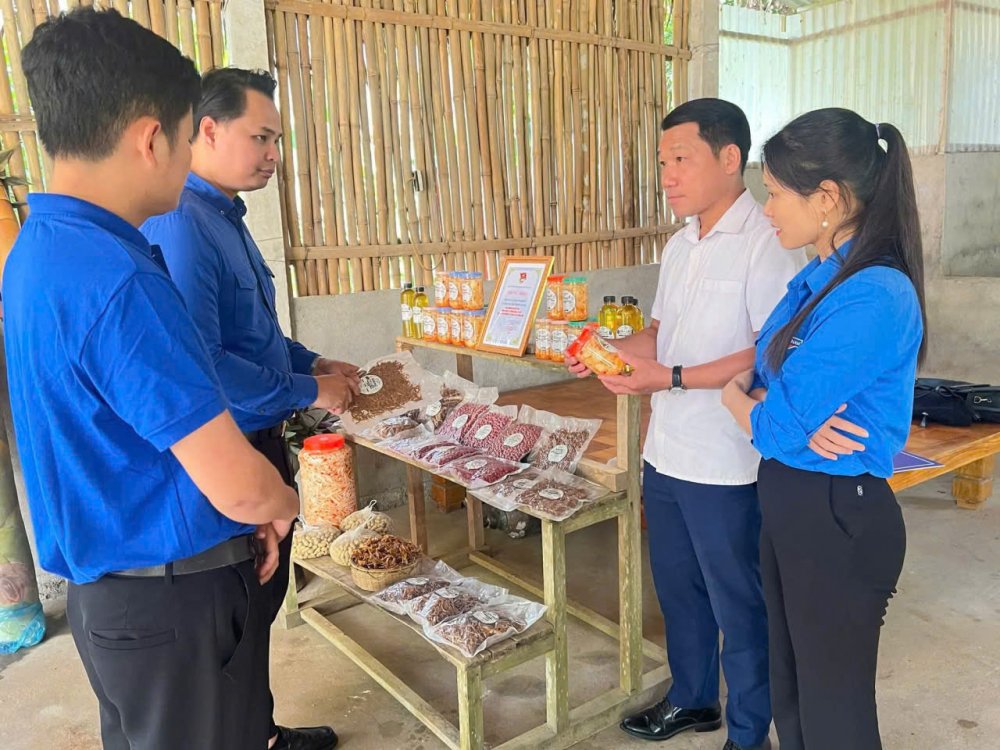 Khởi nghiệp từ sản vật của núi rừng Lâm Thượng