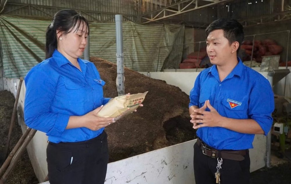Thanh niên cần những kỹ năng thực chiến