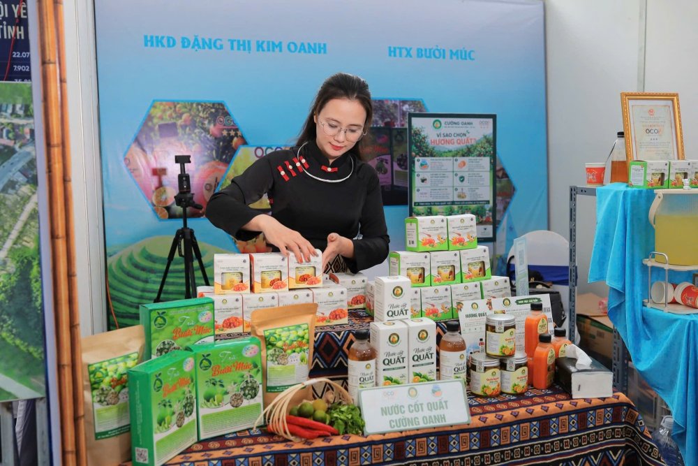 Từ quả quất quê nhà đến chuỗi giá trị OCOP